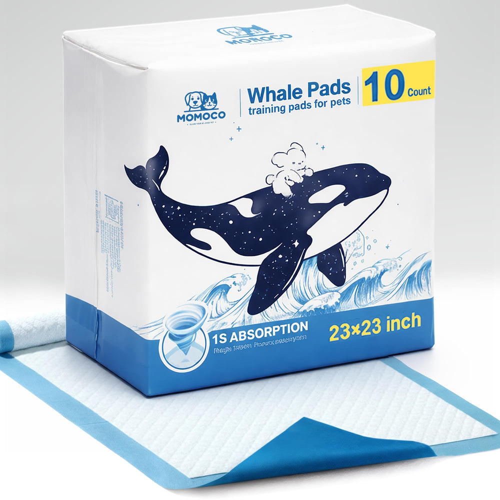 MoMoCo Whale Pads, tapis-pipi lot de 10, absorption élevée pour voyages.