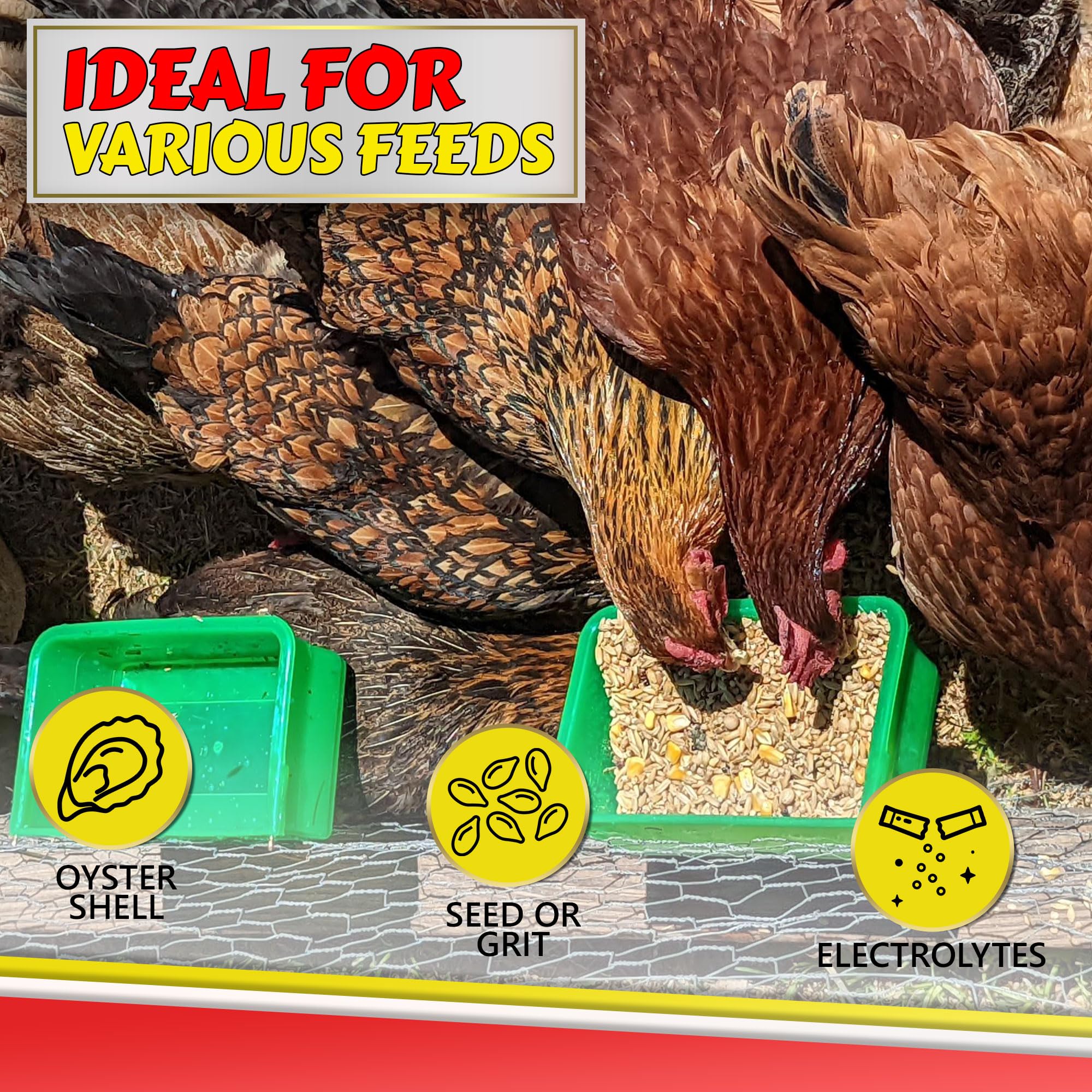 Utilisation polyvalente Mon Poulet Prefere, eau et nourriture dans une même cage