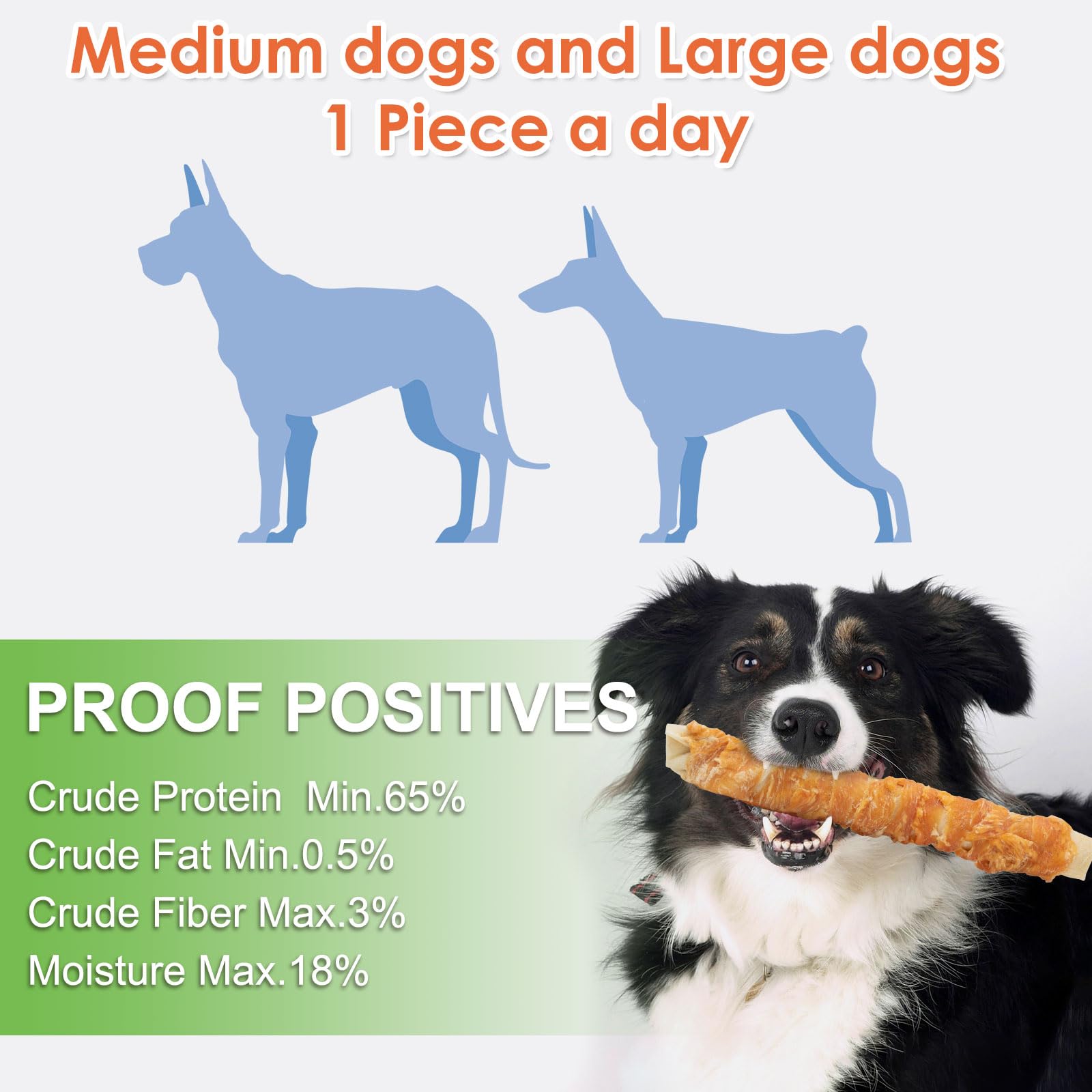 MON2SUN conçu pour chiens moyens et grands, taille adaptée.