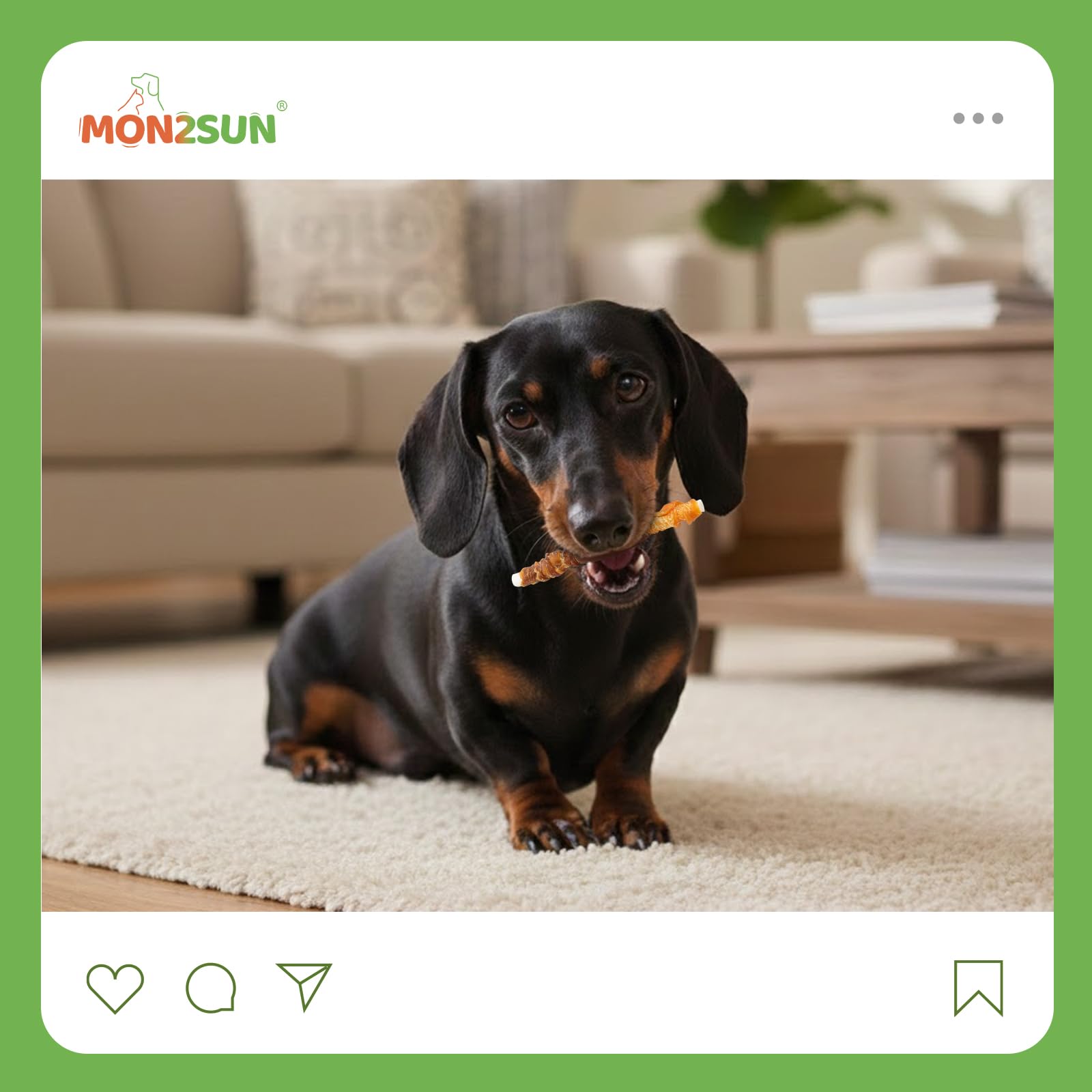 MON2SUN conseils pour la dentition et l'hygiène des chiens petits.