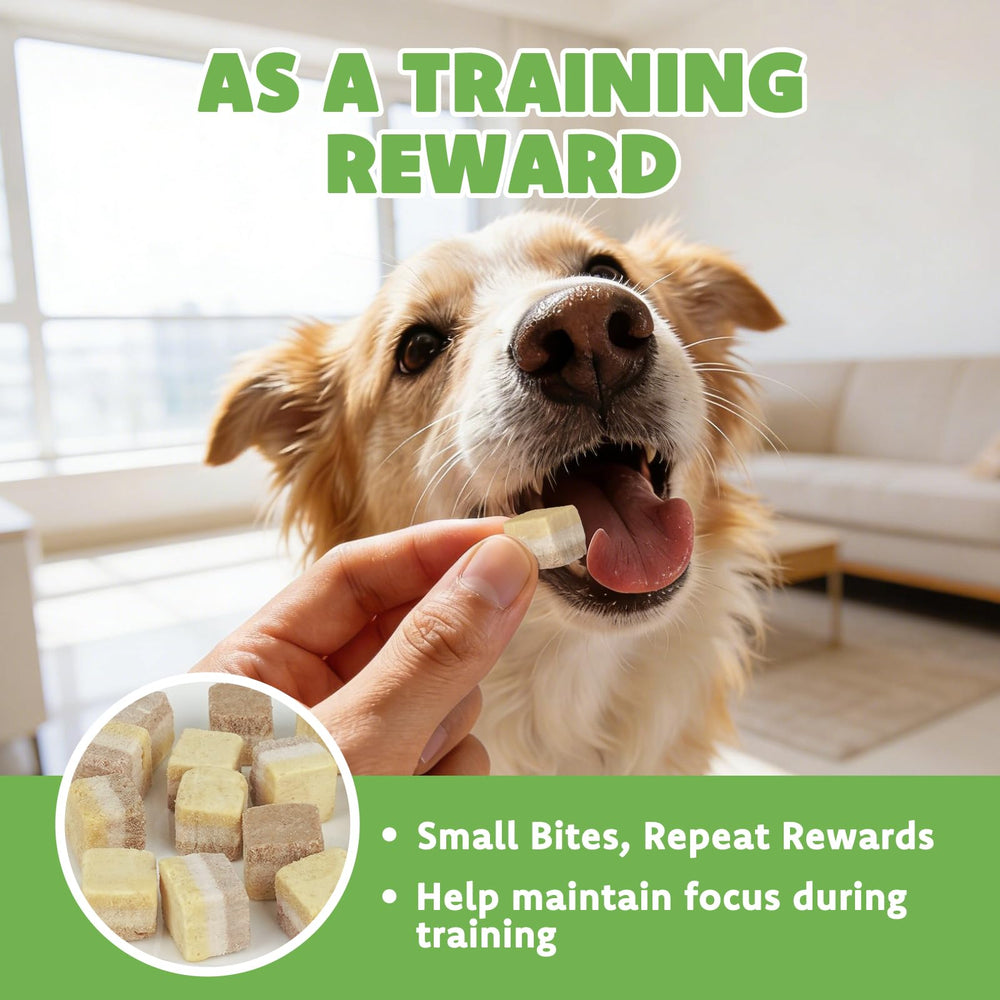 MON2SUN friandises sans céréales, nutrition concentrée pour chiens et chats