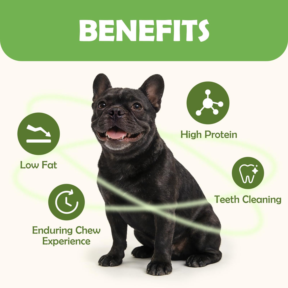 MON2SUN longueur 5 pouces idéal pour chiots et petits chiens