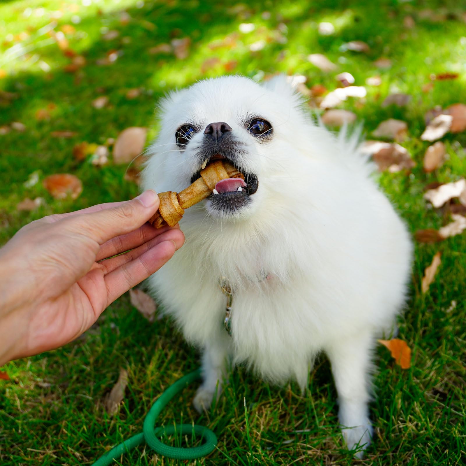 MON2SUN os-noue-cuir-brut-poulet-2-5-pouces, friandise durable pour petits chiens actifs.