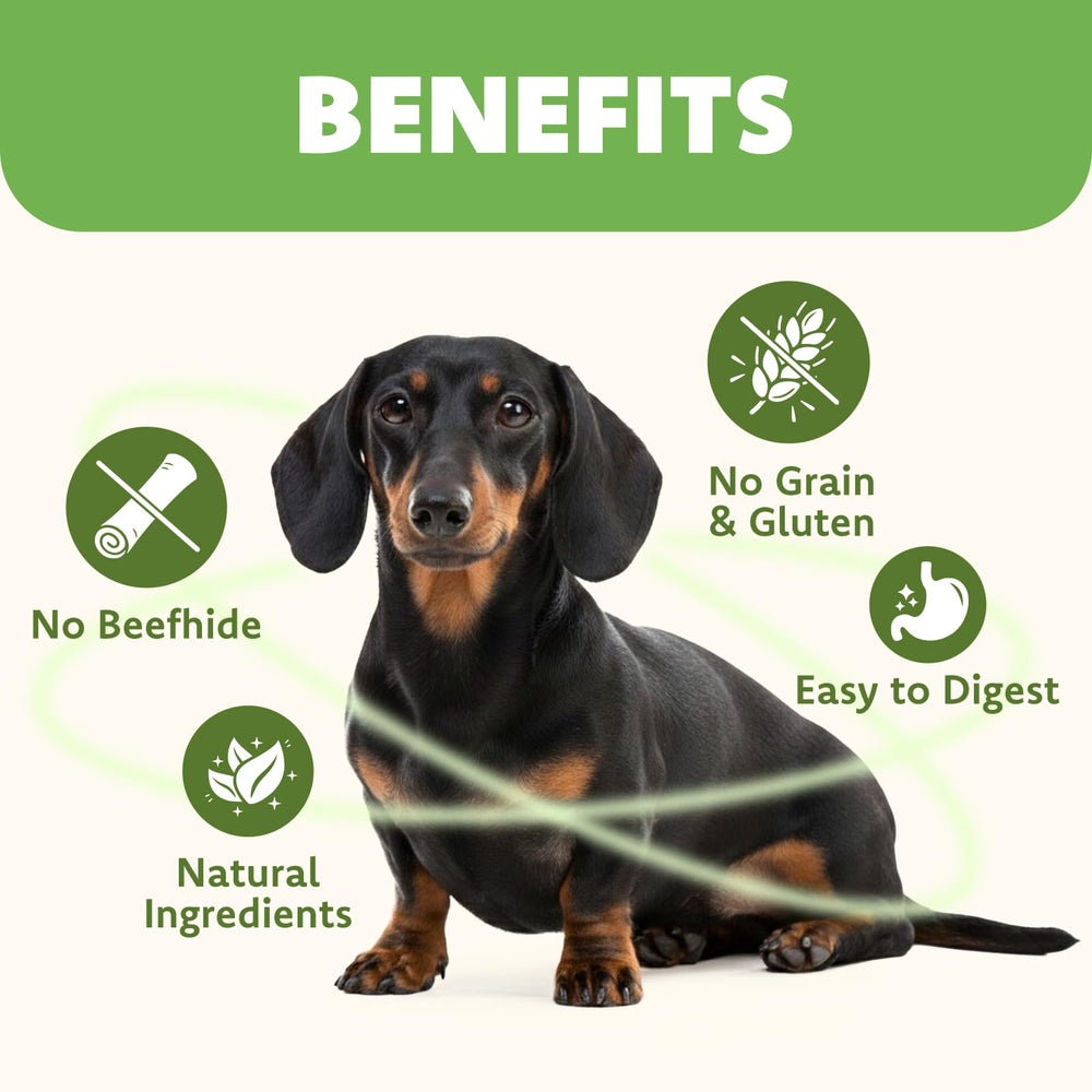Mon2sun protéines faible matière grasse aide au maintien de la masse musculaire des petits chiens.