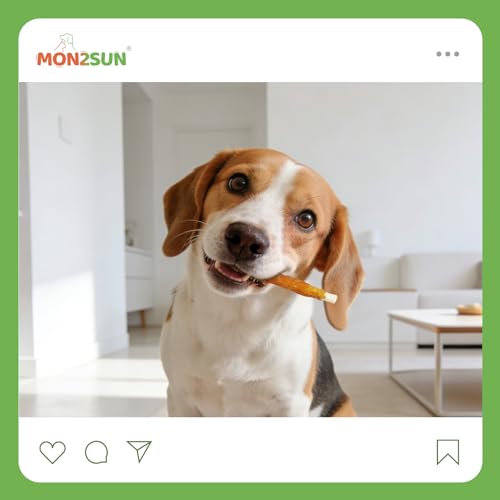 MON2SUN usage quotidien pour chien, plaisir de mastication et retenue