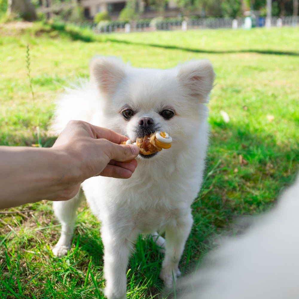 MON2SUN Qualite Controle: produit testé et contrôlé pour petits chiens.