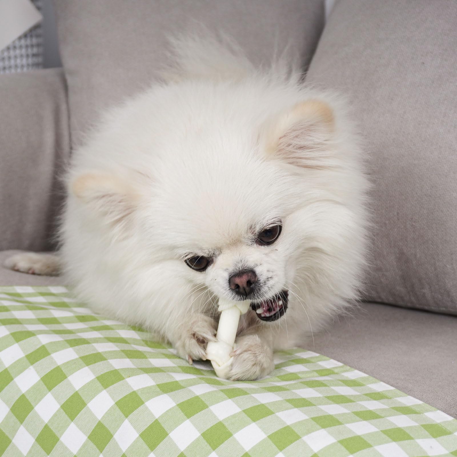MON2SUN friandise naturelle rawhide noué, sans colorants artificiels pour chiens de petite taille.