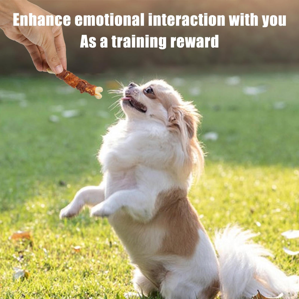 MON2SUN renforçant le lien maître-chien pendant la mastication.