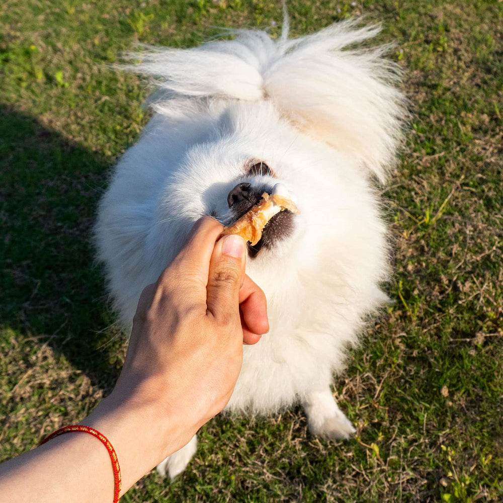 MON2SUN Sans cuir brut, friandise protéinée au poulet pour chiens.
