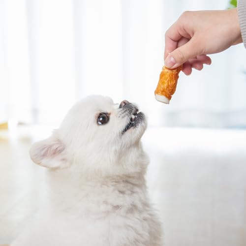 MON2SUN snack occupe le chien lors des sessions de jeu.