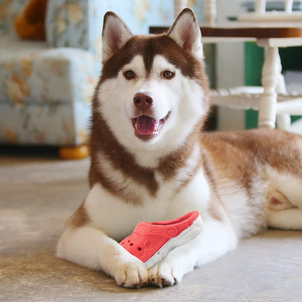 MONDOTOY – jouet résistant et durable, idéal pour chiens agressifs.