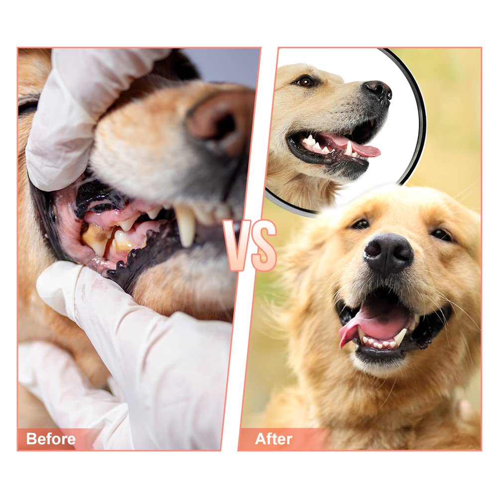 MONDOTOY – jouet sans toxine, sécurité pour chien et foyer.