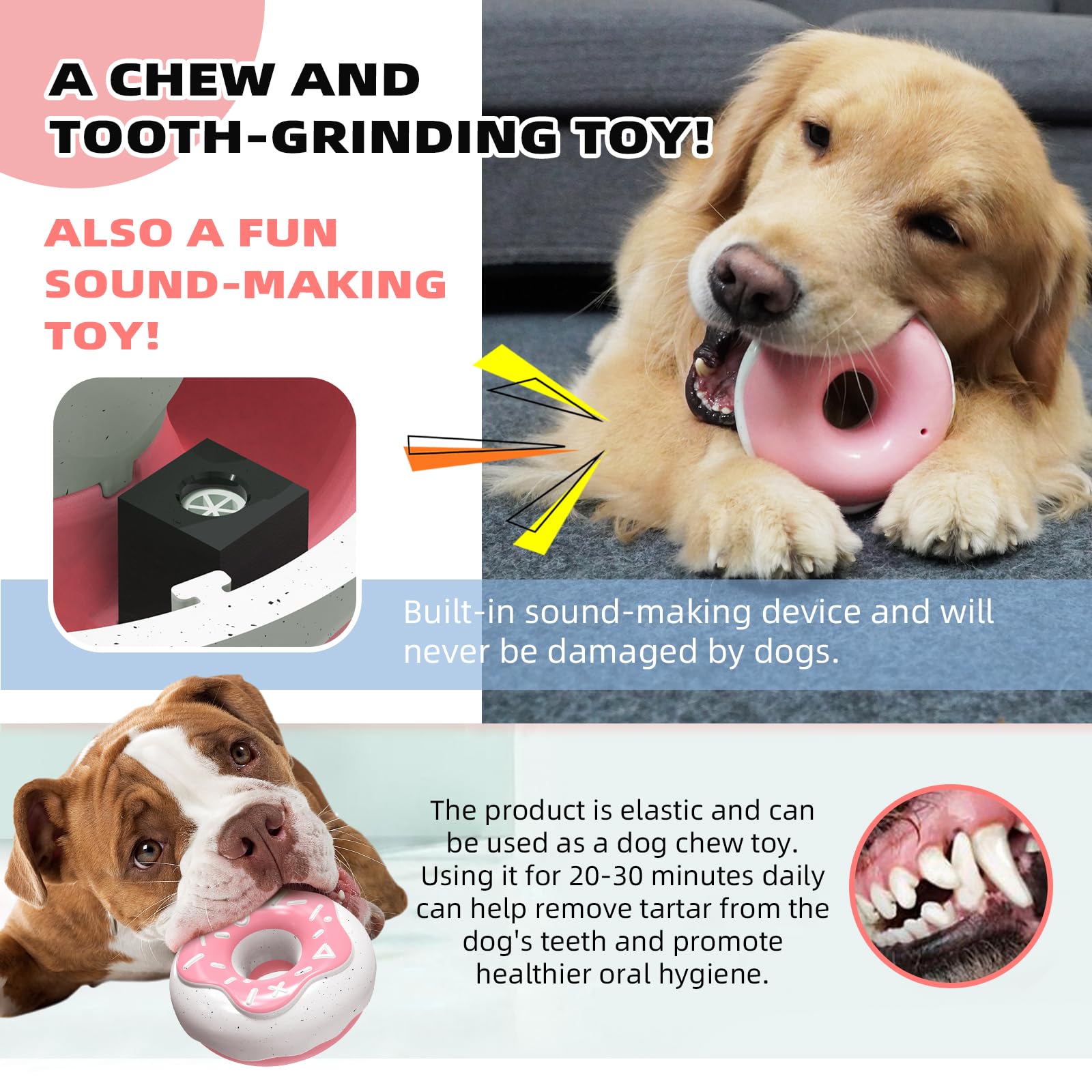 Monotre anneau-dentition intérieur-extérieur: divertissement polyvalent pour chien.