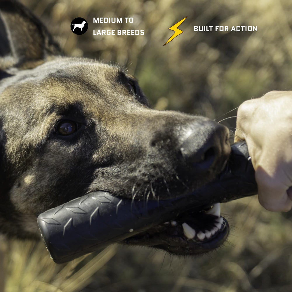 Monster K9-dentition-sain: soutien potentiel à l’hygiène dentaire.