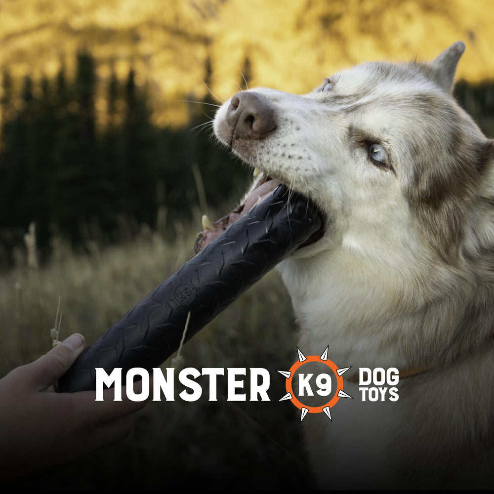 Monster K9-jeu-traction-récupération: idéal pour tirage et récupération.