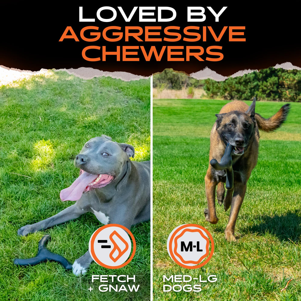 Monster K9 Utilisé par chiens policiers et militaires