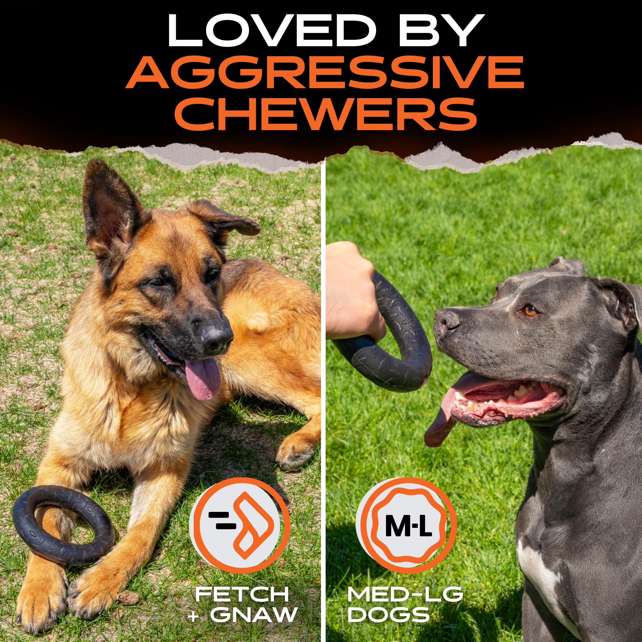 Monster K9 Lavage au lave-vaisselle pour un nettoyage rapide.
