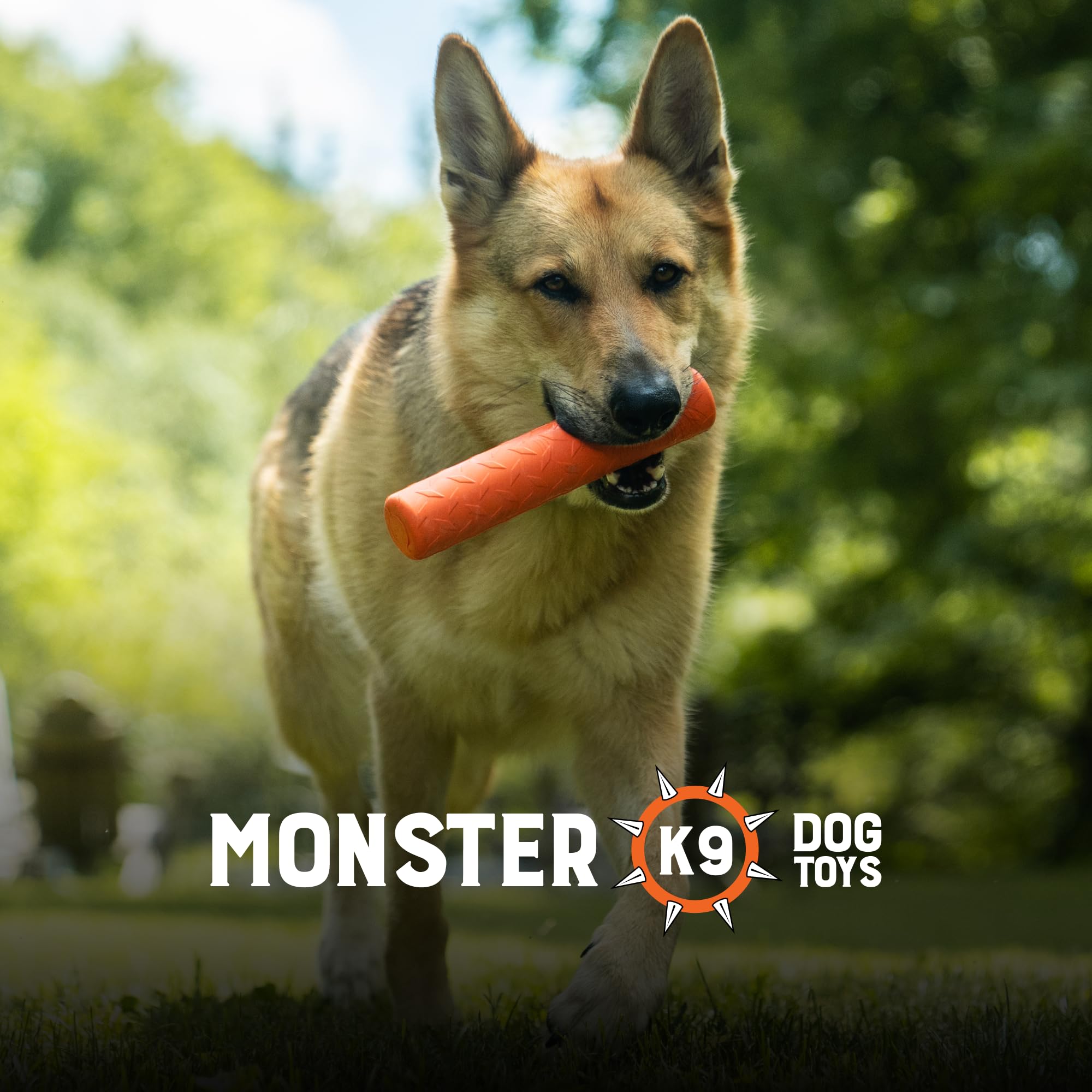 Monster K9 usage quotidien: idéal pour chiens de taille moyenne à grande.
