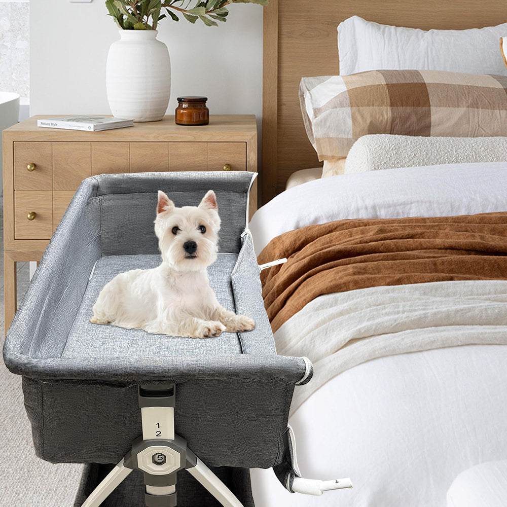 Montex cadre métallique stable pour lit de chien, durabilité et sécurité.