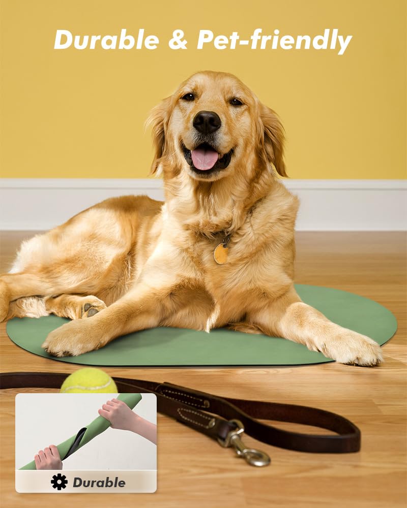 MontVoo tapis recyclable et durable: choix respectueux pour chiens et chats.