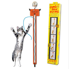 Moody Pet Fling-ama-String accroché à une poignée de porte pour divertir le chat