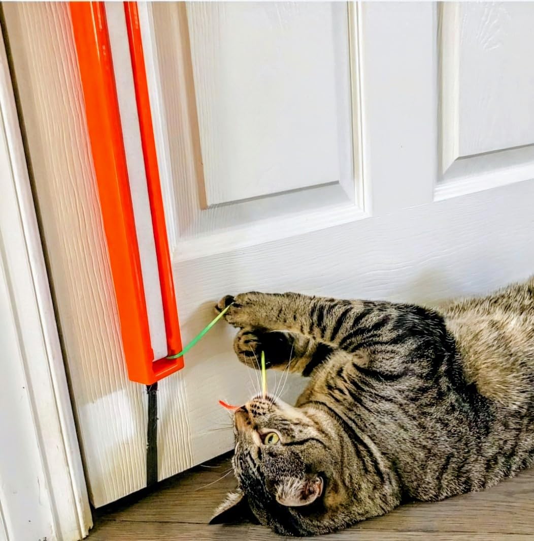 Remplacements gratuits à vie pour Moody Pet Fling-ama-String