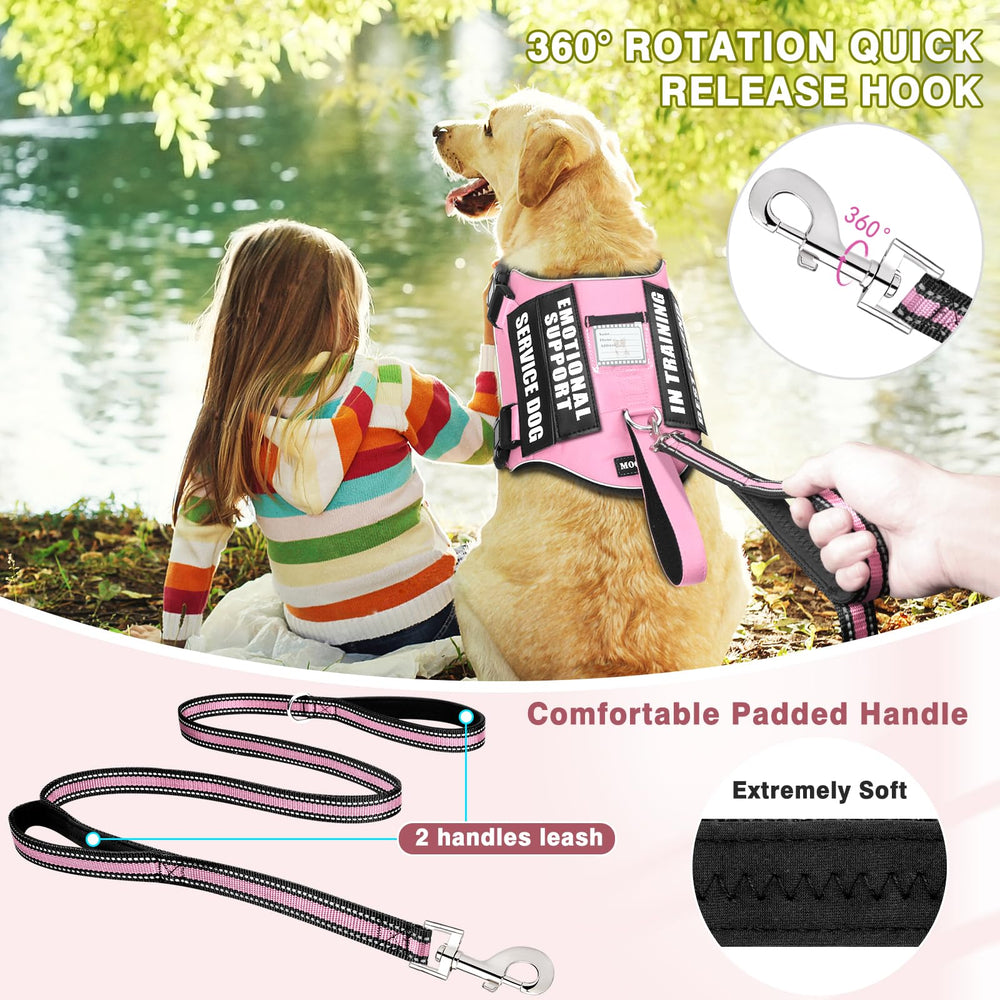 MOOGROU carte d'identité amovible pour personnalisation rapide du chien