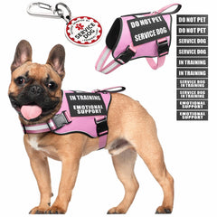 MOOGROU gilet service chien avec patchs auto-agrippants pour signaler le statut.