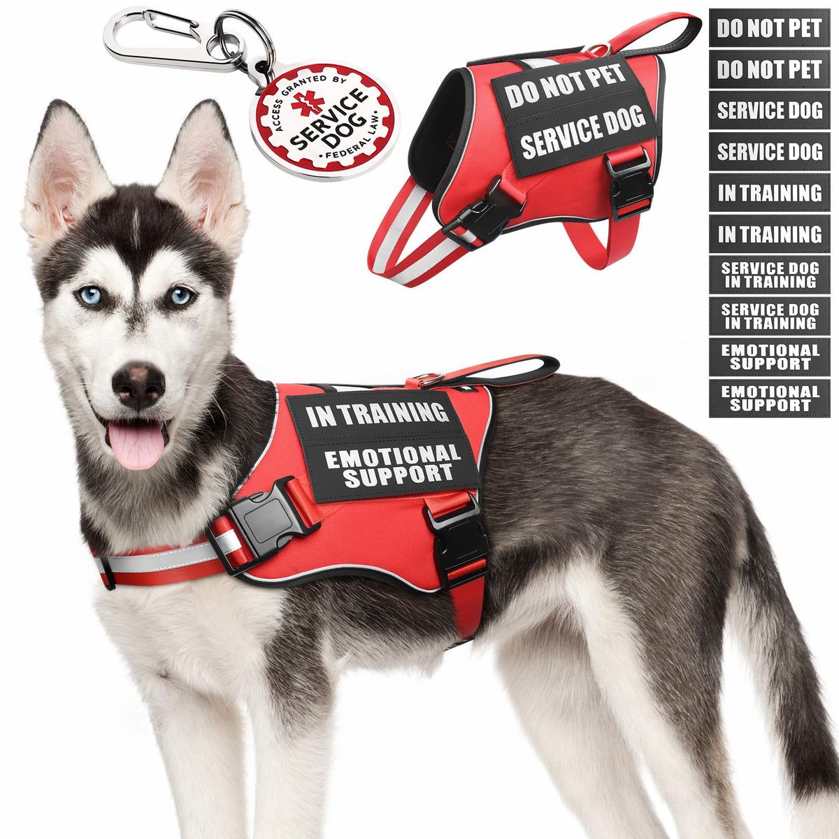 MOOGROU gilet service chien – vue avant, mise en place rapide et confort