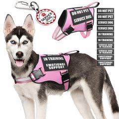 MOOGROU harnais-chien-service avec poignée pour un contrôle en promenade.
