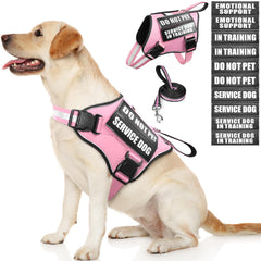 Harnais MOOGROU pour chien de service, confort et sécurité lors des sorties.