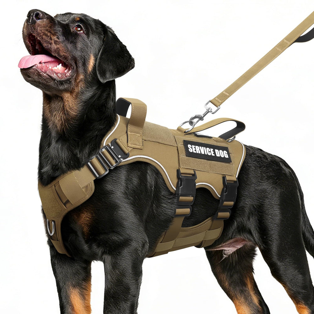 MOOGROU ensemble harnais et laisse service chien pour promenades securise