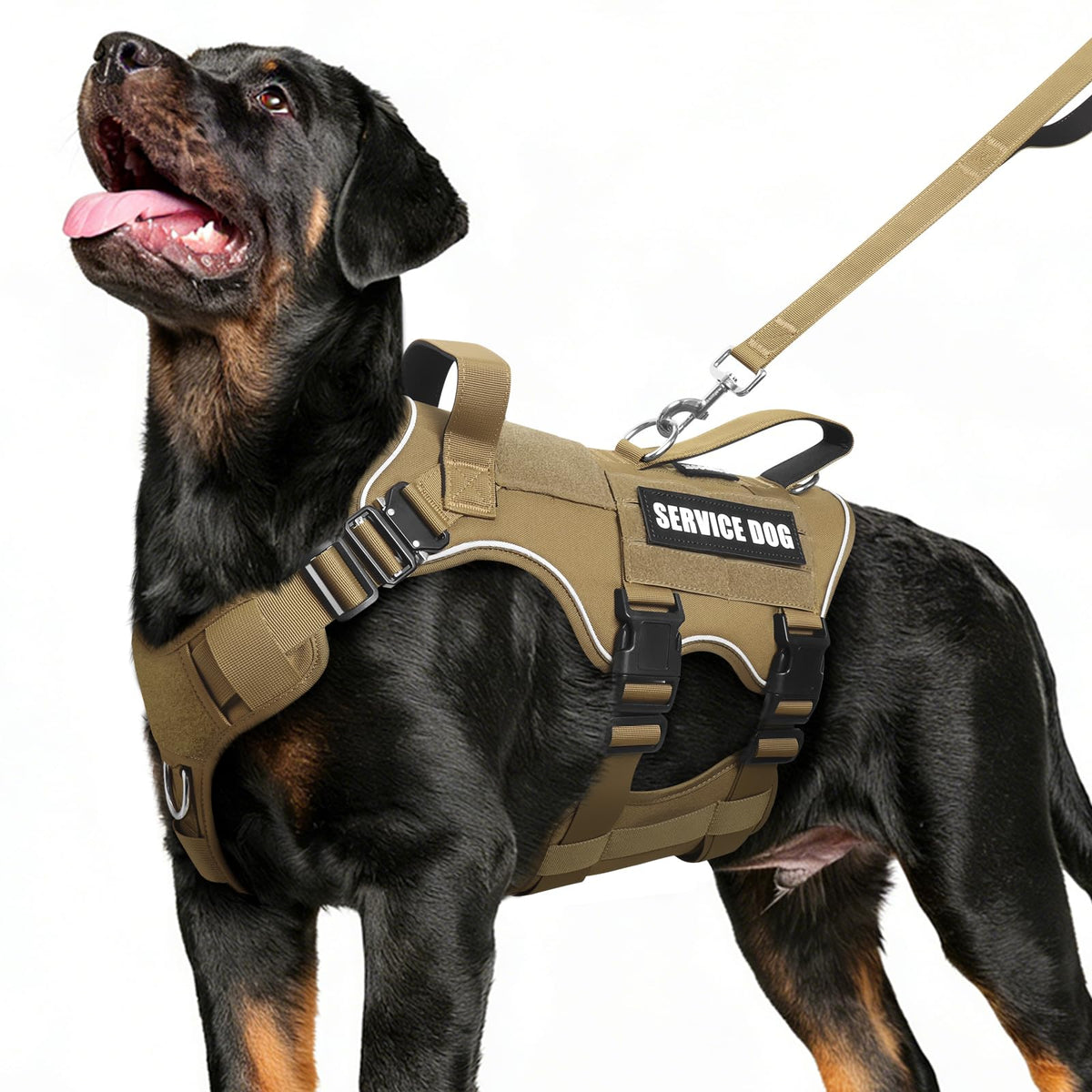 MOOGROU ensemble harnais et laisse service chien pour promenades securise