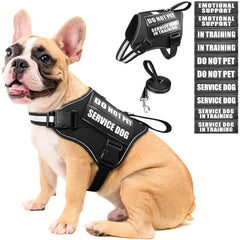 Harnais MOOGROU et laisse pour chien, ensemble pratique pour l'entraînement quotidien.