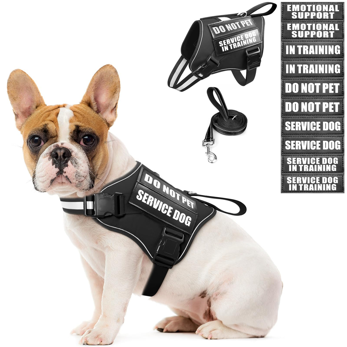 MOOGROU harnais-service-chien et laisse, ensemble pratique pour l'entraînement et les sorties.