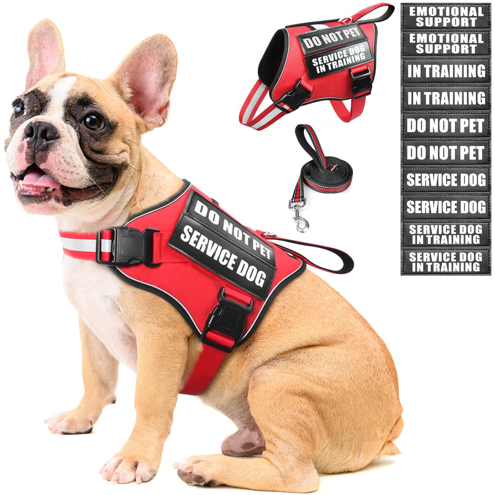 Harnais MOOGROU pour chien de service rouge avec visibilité accrue.