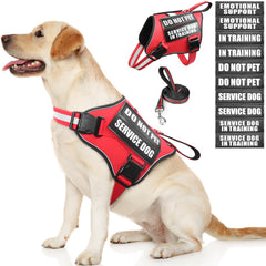 MOOGROU harnais service chien rouge, sécurité et visibilité accrues pendant les sorties.