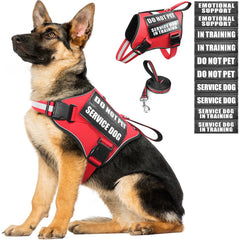MOOGROU harnais-service-chien, fixation rapide et confort quotidien.
