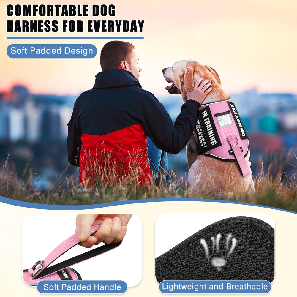 Médaillon métallique MOOGROU gravé durablement pour chien.