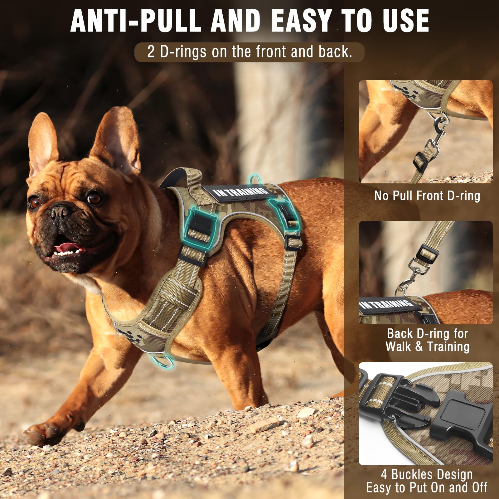 Patch MOOGROU inclus pour personnaliser le chien lors des balades