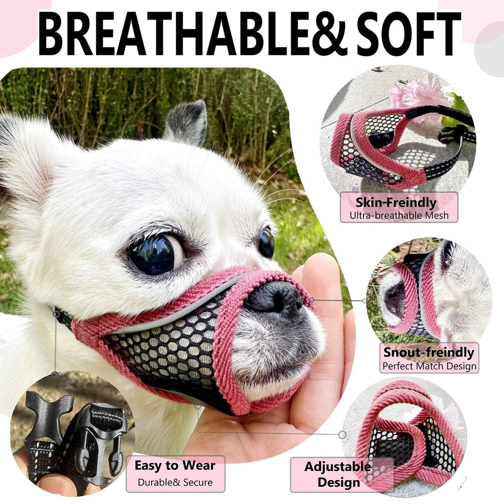 MoiiLavin masque en mesh respirant pour petits chiens, idéal en promenade.