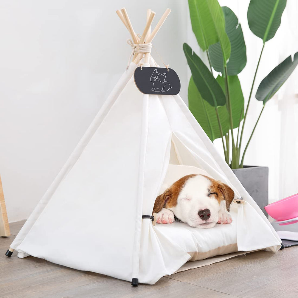 Vue de l’ensemble Mooipet Tepee avec accessoires inclus et mode montage.