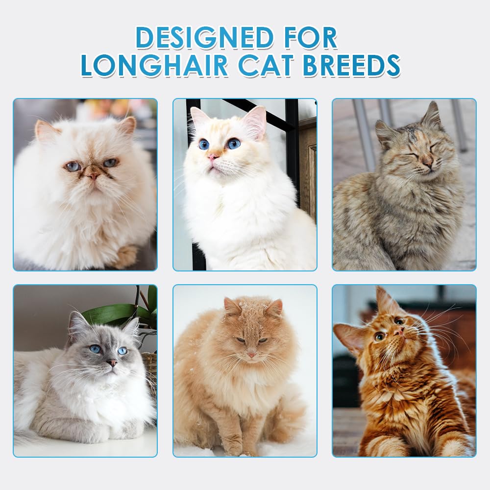 Mooncat Toilettage sans eau, expérience sans stress pour chats et propriétaires.