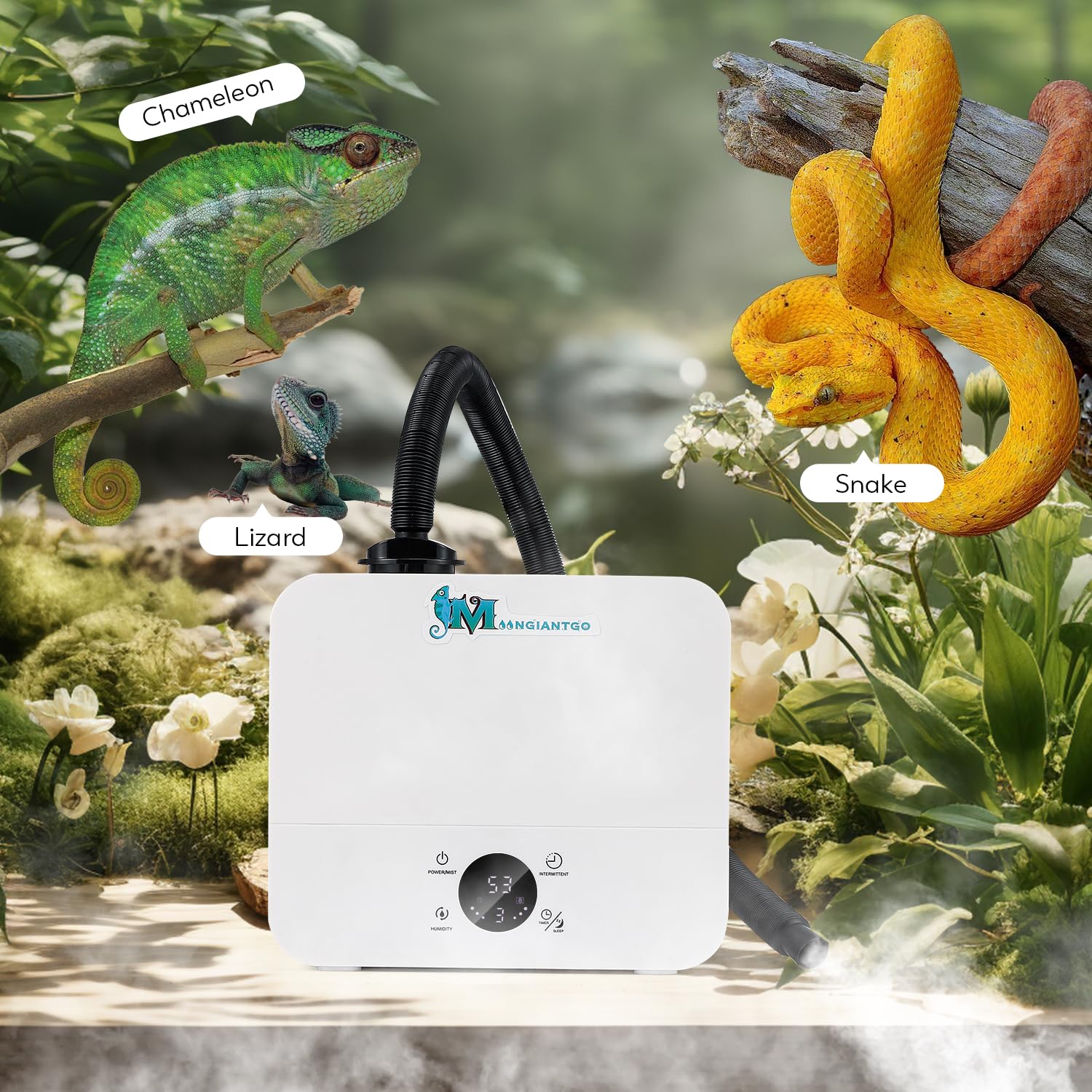 Moongiantgo humidificateur utile pour plantes intérieur et chambre