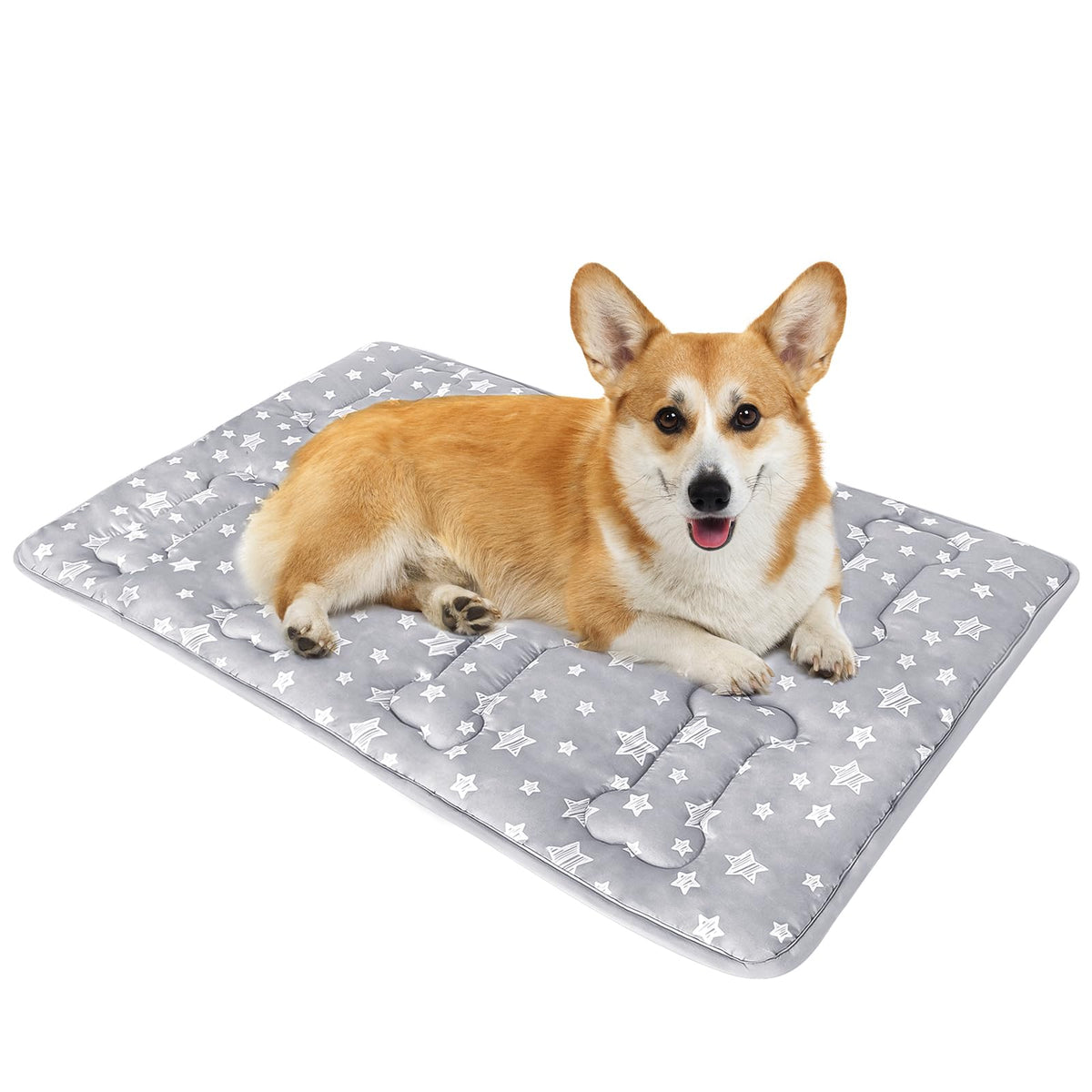 Moonsea Tapis Caisse Chien 30x19: couchage doux et sûr pour votre compagnon.