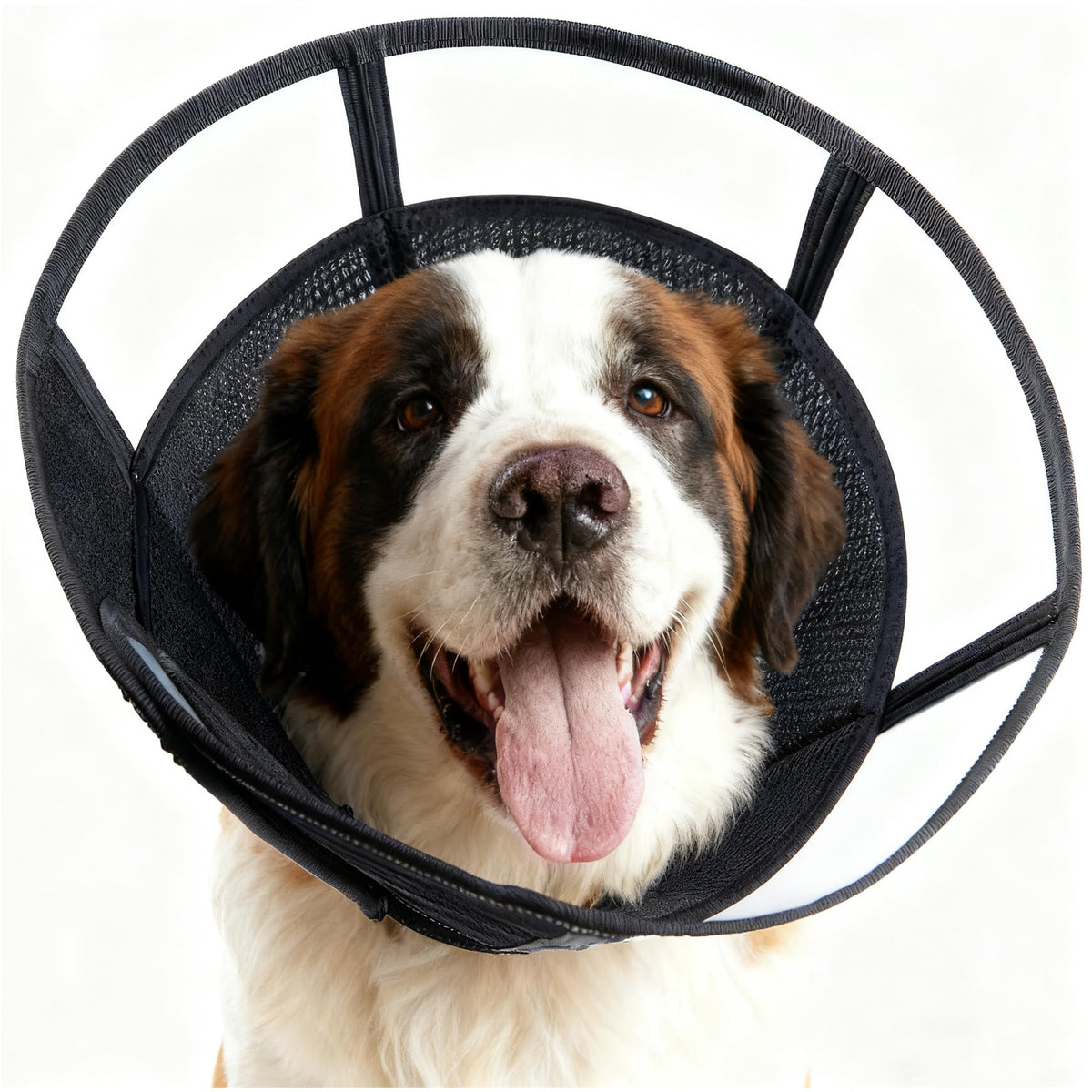 Cône MoonyMars doux pour chien XXL noir, confort et sécurité lors de la récupération.