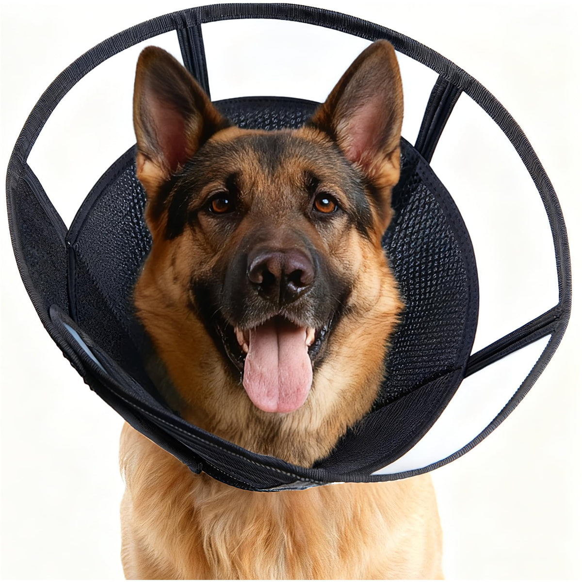 MoonyMars cone doux pour chien XL, favorise un rétablissement sans stress.