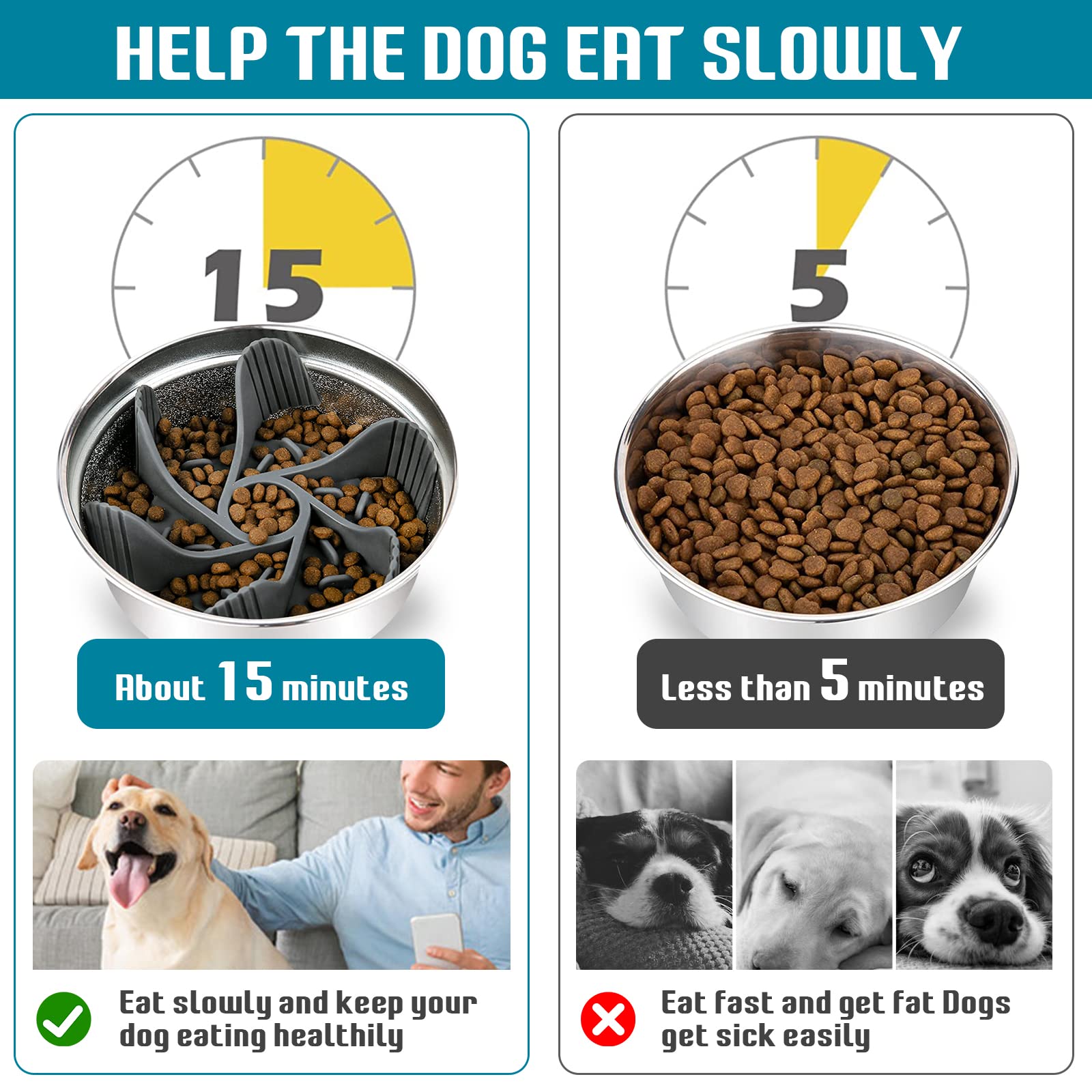 MooonGem slow feeder insert bol chat, aide à manger lentement et prévenir les excès.