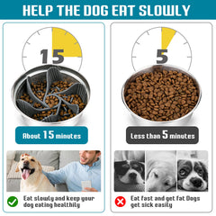 MooonGem slow feeder insert bol chat, aide à manger lentement et prévenir les excès.