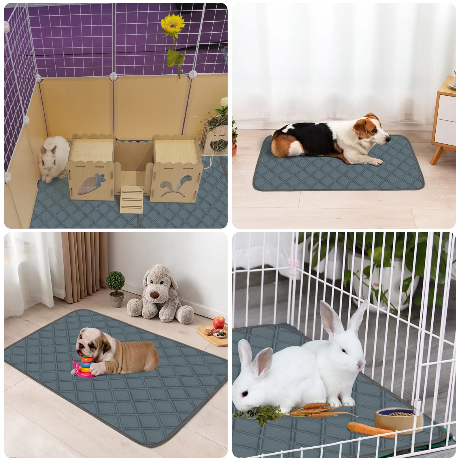 Usage polyvalent Mooydee pour cobaye et autres petits animaux.